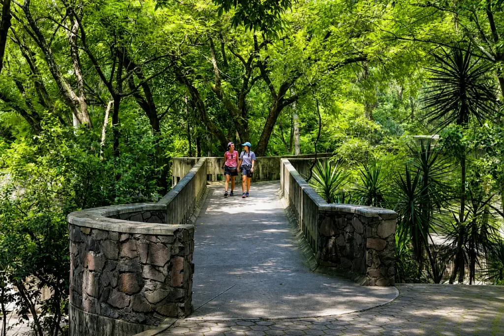 Caminata en el Bosque Los Colomos, Guadalajara