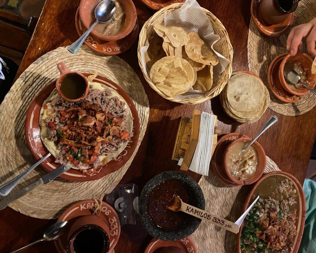 Carne en su jugo Kamilos 333